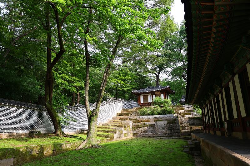 Soleil matinal, oiseaux qui chantent et arbres centenaires : voilà ce qui suffirait pour décrire le cadre apparu devant les yeux des visiteurs du jardin du palais Changdeokgung, ce 18 mai 2025. © Lee Jeong Woo / Korea.net