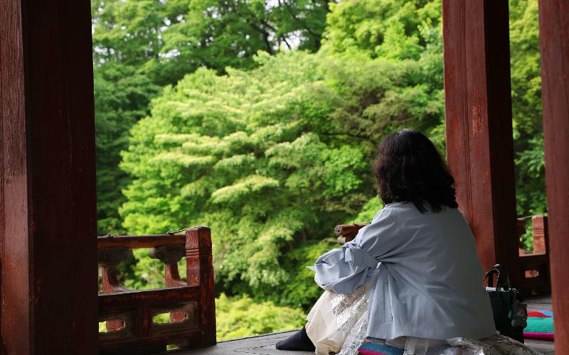 Le pavillon Juhamnu, d’où cette visiteuse admire les arbres du palais, a été construit l’année de l’accession au trône du roi Jeongjo, en 1776. Juhamnu signifie littéralement « englober le monde ». © Lee Jeong Woo / Korea.net