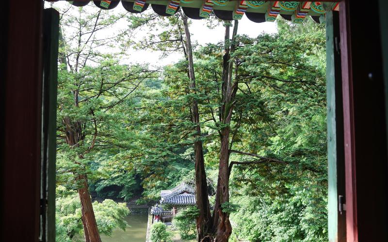 S’asseoir près des fenêtres des pavillons du palais Changdeokgung est une occasion d’admirer la nature qui s’étend autour. © Lee Jeong Woo / Korea.net