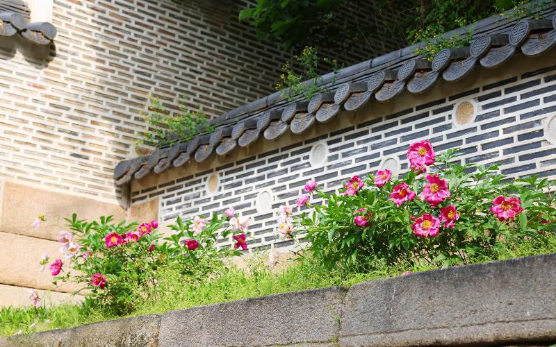Le jardin du palais Changdeokgung est également l’occasion de découvrir les détails architecturaux des bâtiments qui le composent, comme les motifs sculptés sur les giwa, les tuiles traditionnelles coréennes. © Lee Jeong Woo / Korea.net