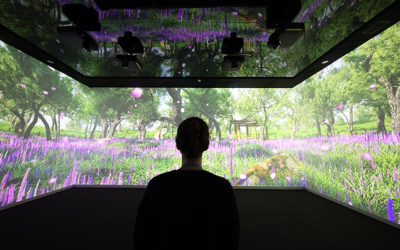 Une vidéo d’amour est retransmise dans l’une des salles de Cheongwadae Sarangchae. © Lee Jeong Woo / Korea.net