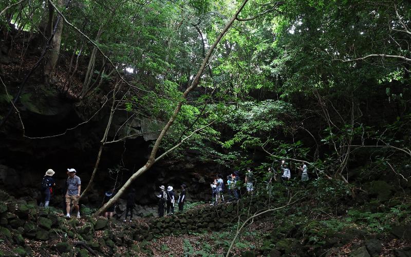 Un groupe de personnes participant à une randonnée organisée dans le cadre du 2025 Korean World Heritage Festival marche le long d’un reflief volcanique, à Jeju, le 10 juillet 2025. © Park Daejin / Korea.net