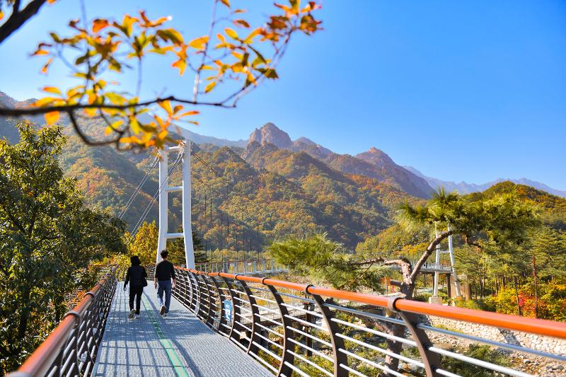 Le Seorak Hyanggiro dans le parc national de Seoraksan. © Municipalité de Sokcho