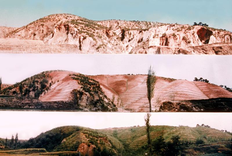 Photos illustrant le reboisement du port de Yeongilman à Pohang, dans le Gyeongsang du Nord, de 1973 à 1977. © Office national des forêts