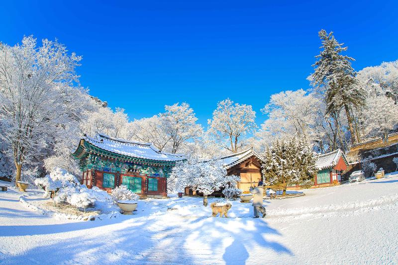 Le temple Magoksa de Gongju, dans le Chungcheong du Sud, recouvert de neige. &copy; Office national du tourisme cor&eacute;en