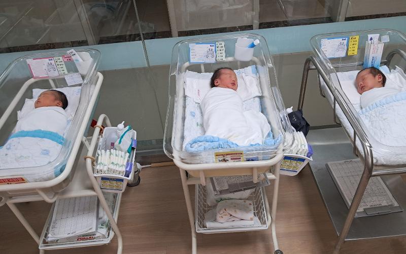 Des nouveaux-nés dans un centre de soins postnatals à Suncheon, dans le Jeollanam-do © Jeollanam-do 