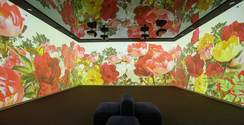 Une fresque digitale &agrave; l&rsquo;effigie de la pivoine, symbole de paix et de richesse, lors de l&rsquo;exposoition &laquo; Full of Colors: Regions Shaping K &raquo;.&copy; Park Dae-jin / Korea.net