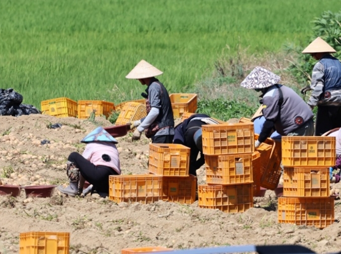 Travailleurs étrangers : nouvelles mesures contre les abus et les accidents du travail