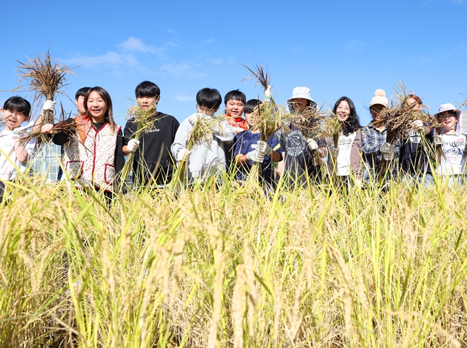 Au Musée national de l’agriculture, petits et grands s’initient aux traditions agricoles coréennes