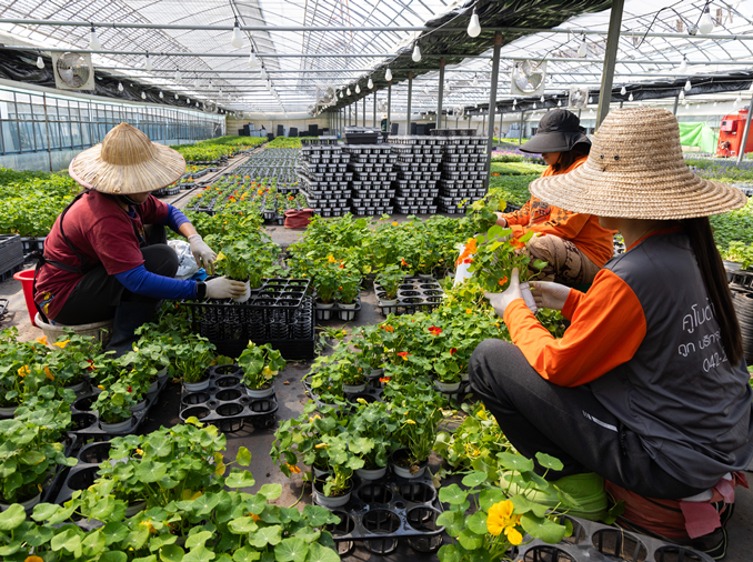 Le ministère du Travail signe un accord pour renforcer la protection des travailleurs immigrés