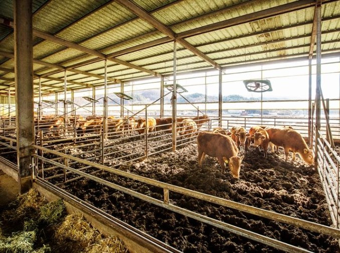 La Rural Development Administration publie un guide du bien-être animal à destination des éleveurs