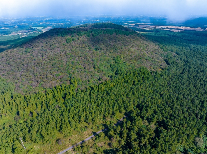 L’excellence de l’administration publique coréenne (4/5) : le reboisement du territoire