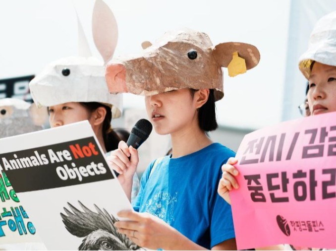 Statut juridique, élevage, expérimentation : les évolutions de la politique animale en Corée