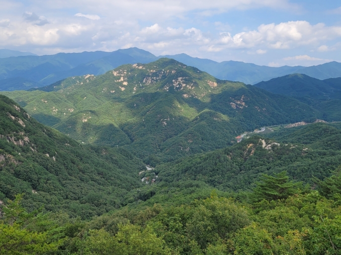 Cinq aires forestières de loisir reconnues comme espaces de conservation de la biodiversité