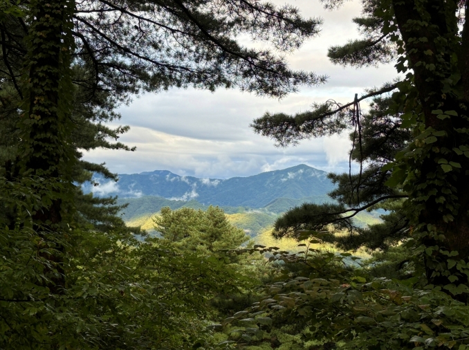 La campagne coréenne, nouvelle destination des voyageurs